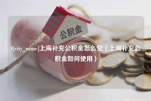 延边上海补充公积金怎么交（上海补充公积金如何使用）